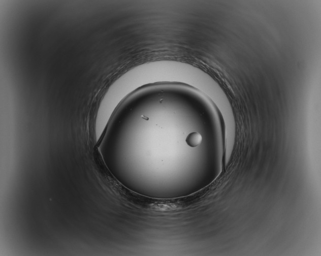 X0000096690512200802191431