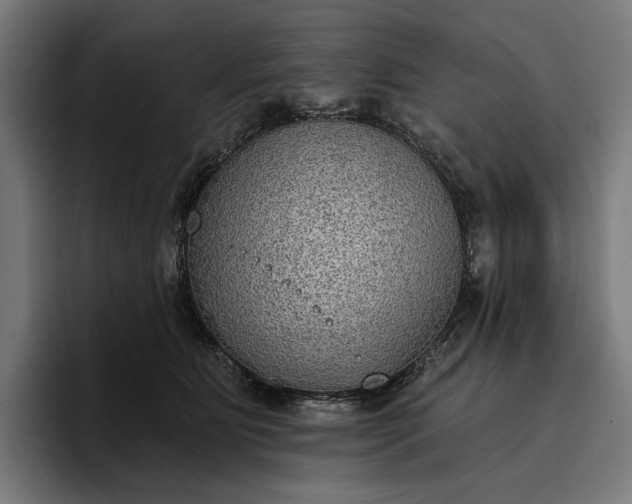 X0000096690515200802191431