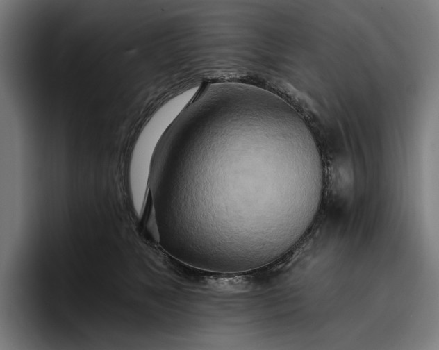 X0000096690517200802191431