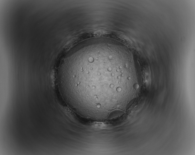 X0000096690519200802191431