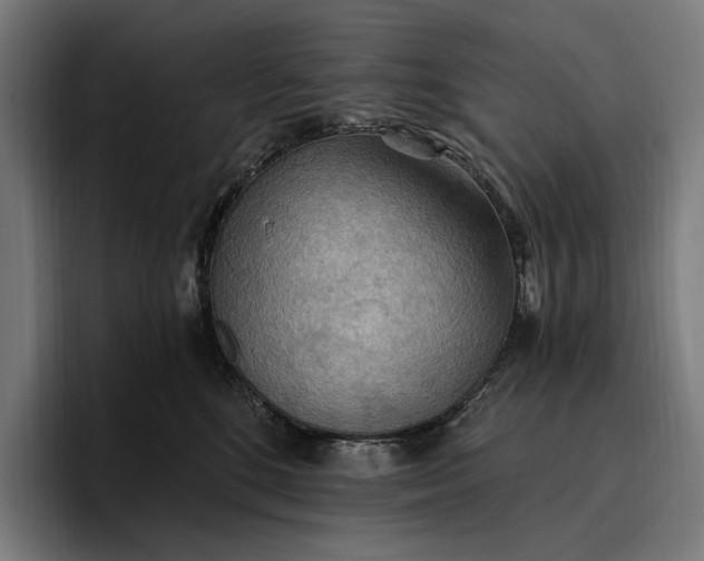 X0000096690520200802191431