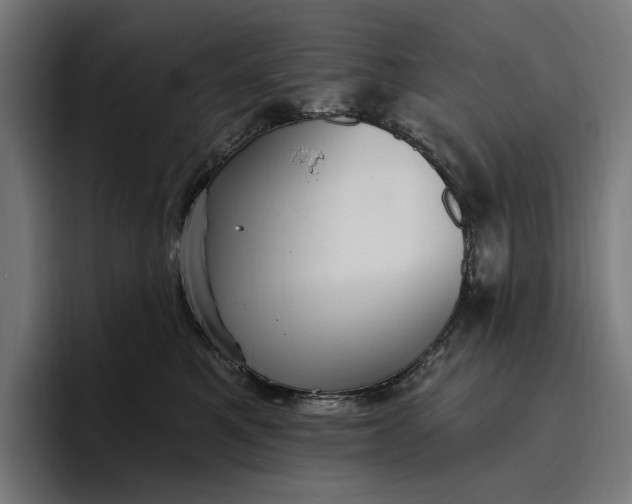 X0000096690521200802191431