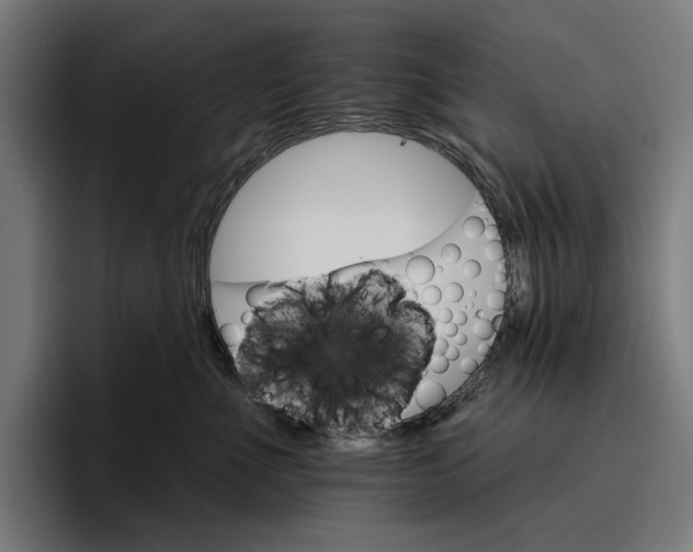 X0000096690523200802191431