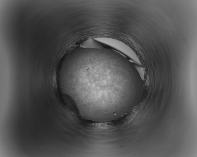 X0000096690524200802191431