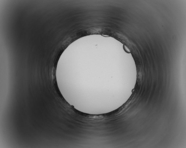 X0000096690525200802191430