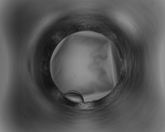 X0000096690526200802191430