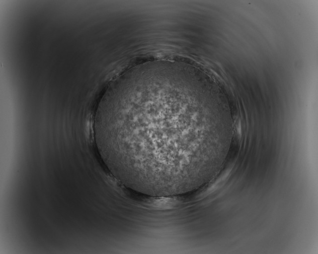 X0000096690527200802191430