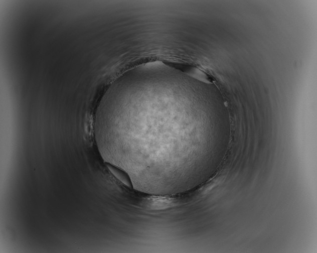 X0000096690528200802191430