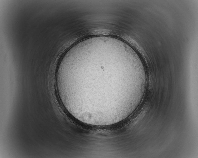 X0000096690529200802191430