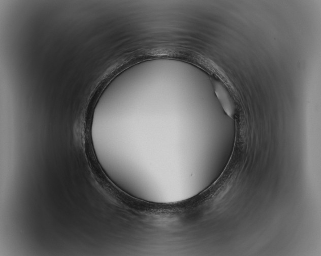 X0000096690530200802191430