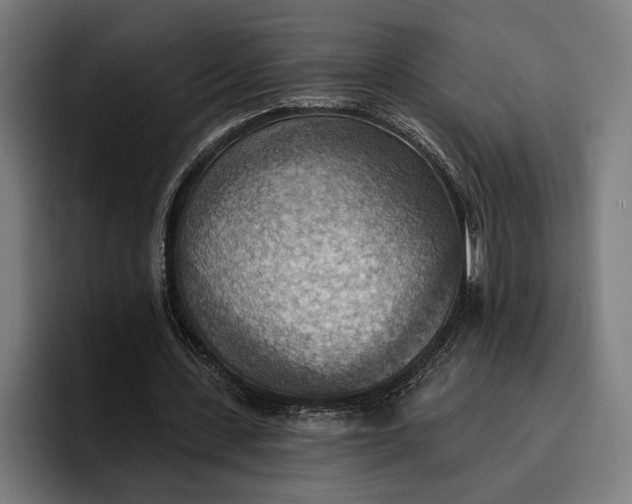 X0000096690531200802191430