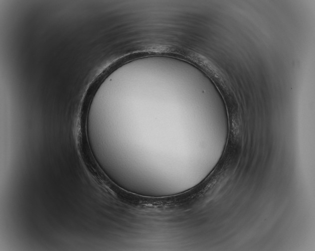 X0000096690532200802191430