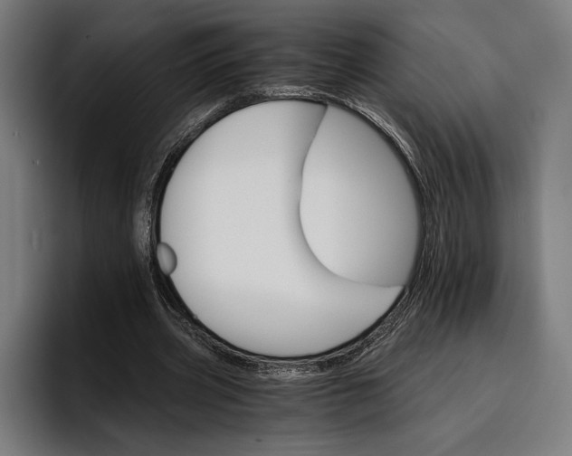 X0000096690533200802191430