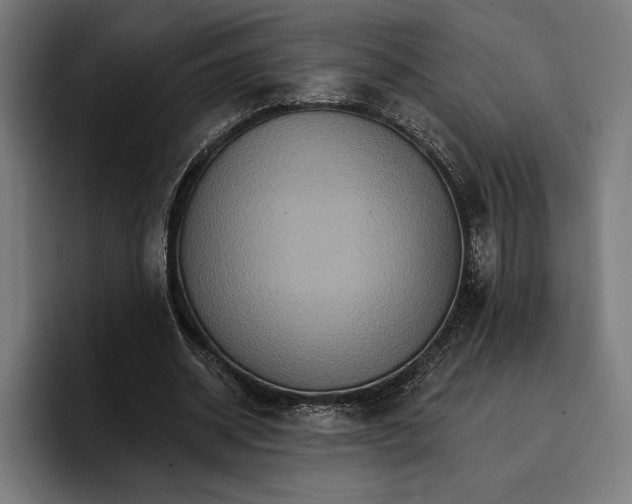 X0000096690534200802191430