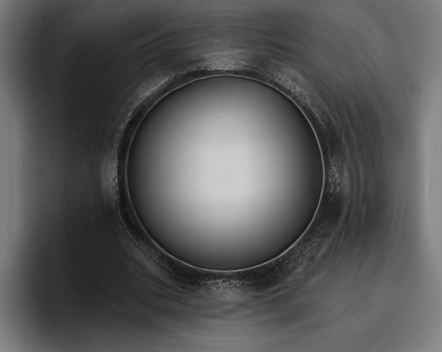 X0000096690535200802191430