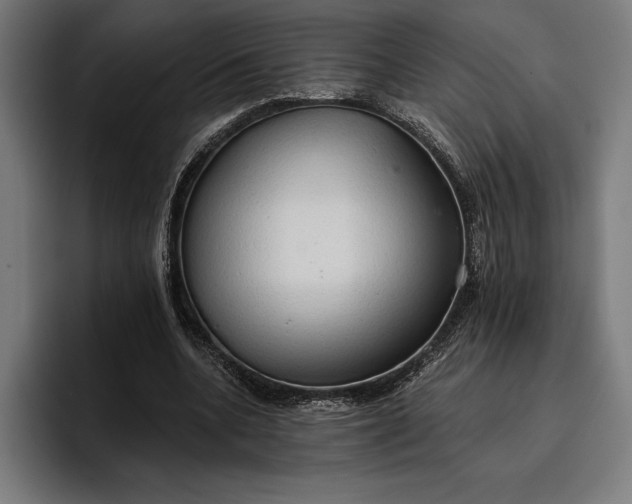 X0000096690536200802191430