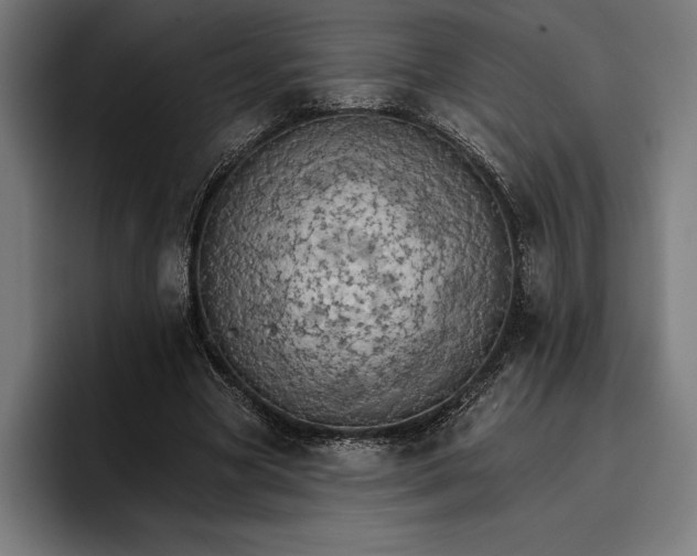 X0000096690537200802191430