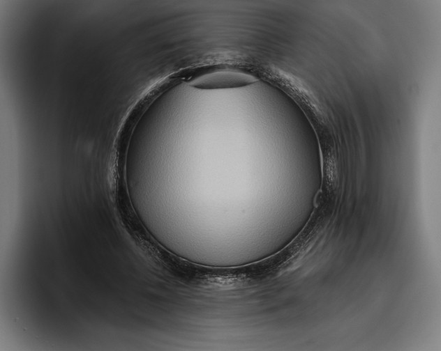 X0000096690540200802191430