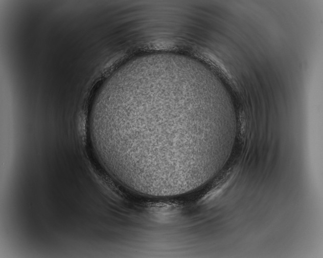 X0000096690542200802191430