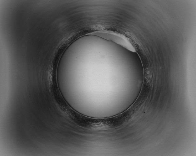 X0000096690544200802191430