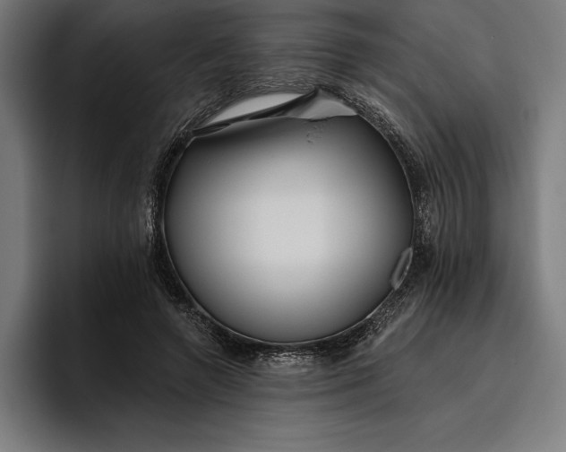 X0000096690546200802191430