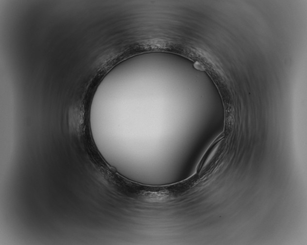 X0000096690548200802191430