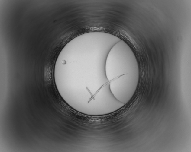 X0000096690549200802191430