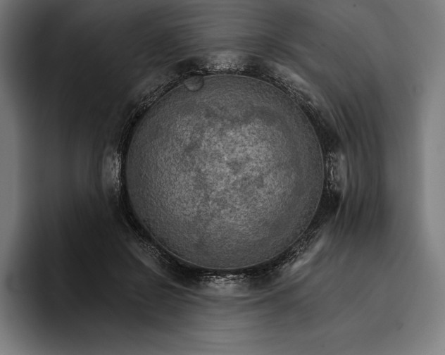 X0000096690550200802191430