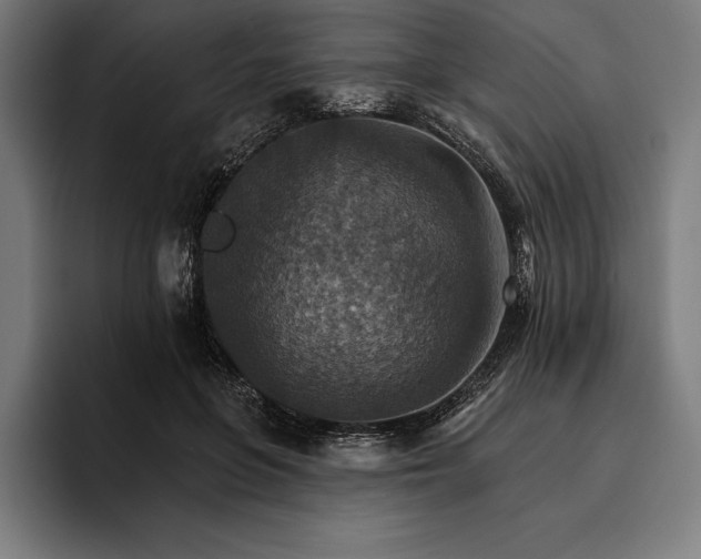 X0000096690551200802191430