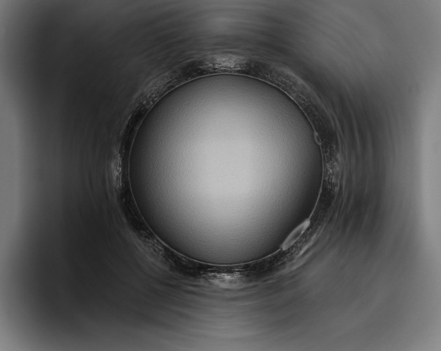 X0000096690552200802191430