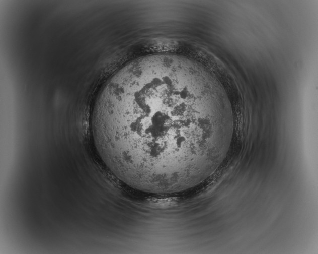 X0000096690553200802191430