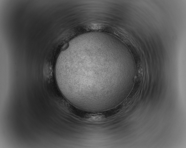 X0000096690555200802191430