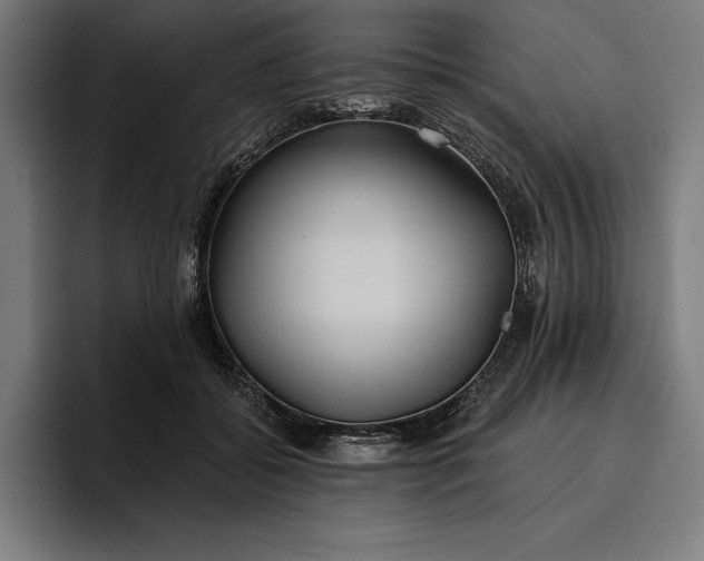 X0000096690556200802191430