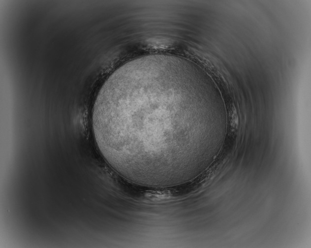 X0000096690559200802191430