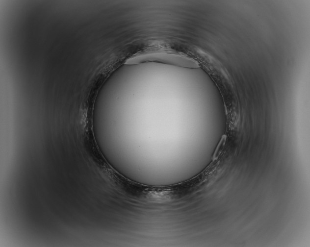 X0000096690560200802191430