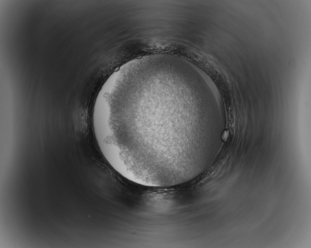 X0000096690563200802191430