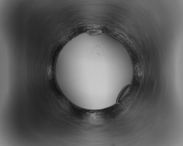 X0000096690564200802191430