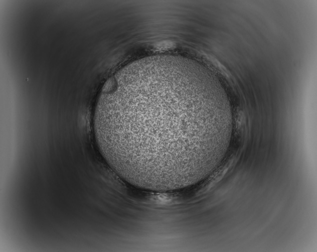 X0000096690565200802191430