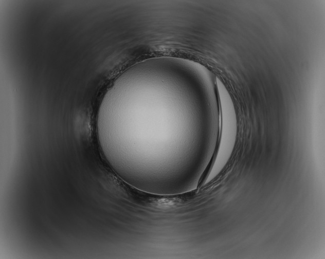 X0000096690566200802191430