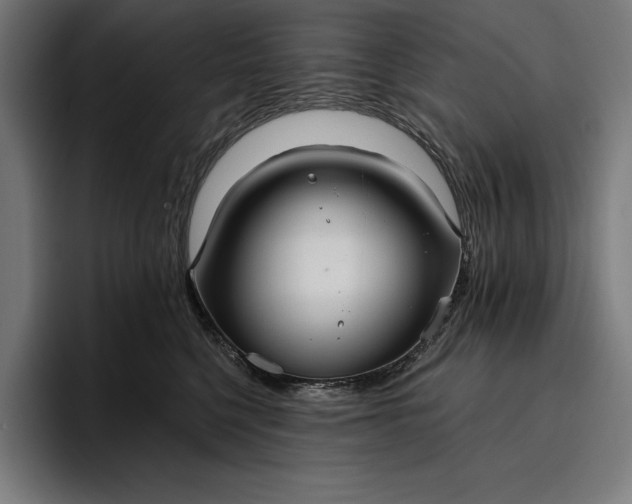 X0000096690568200802191430