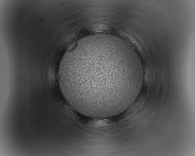 X0000096690569200802191430