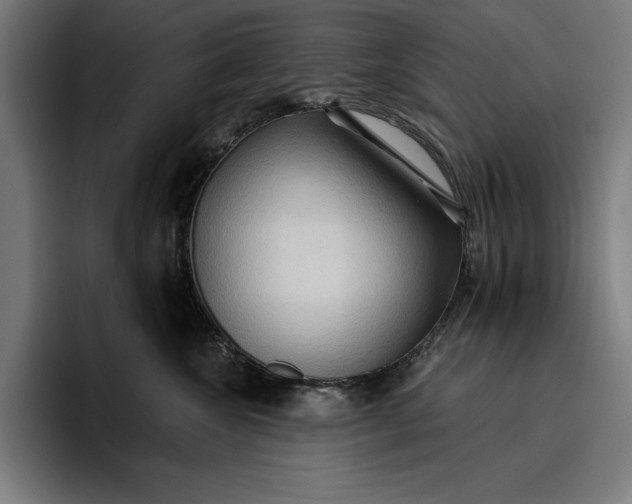 X0000096690572200802191430