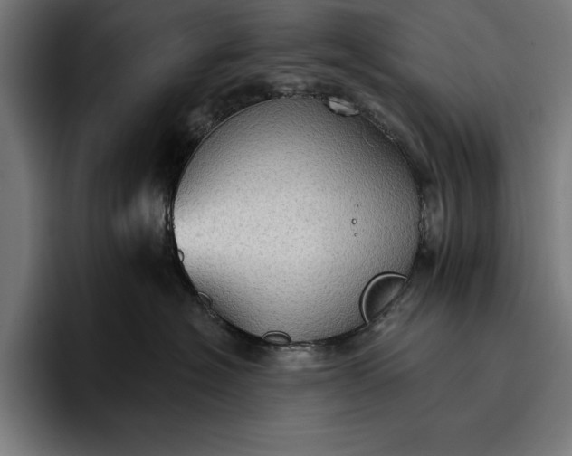 X0000096690574200802191430