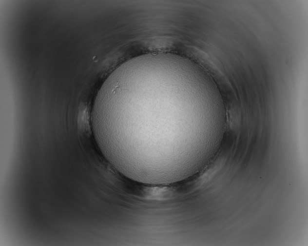 X0000096690575200802191430