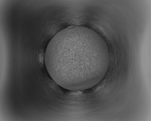 X0000096690576200802191430