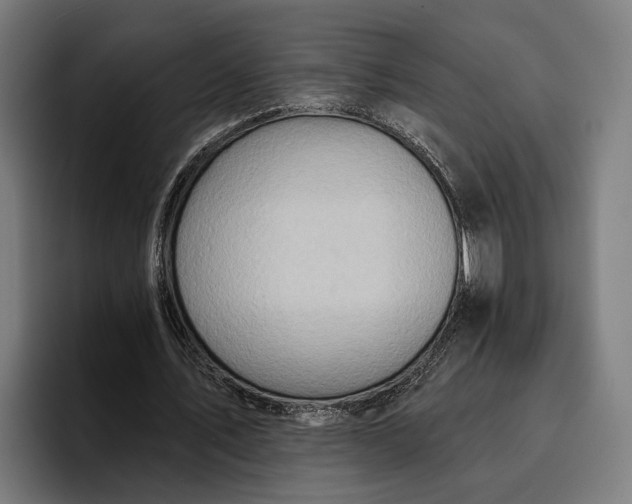 X0000096690579200802191430