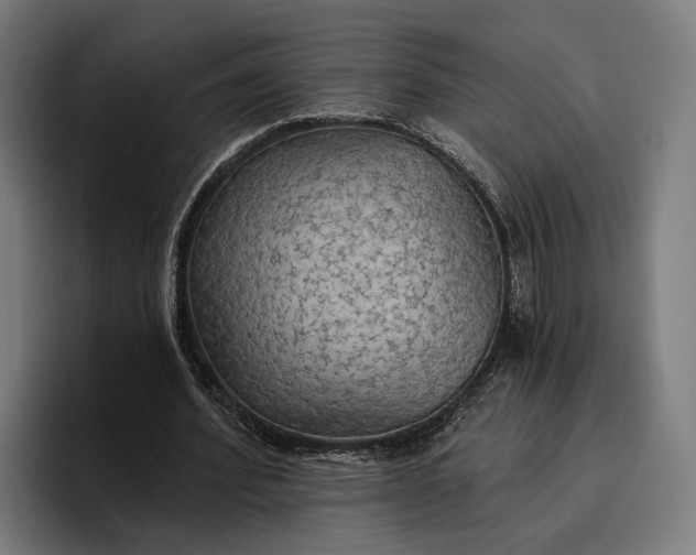 X0000096690580200802191430