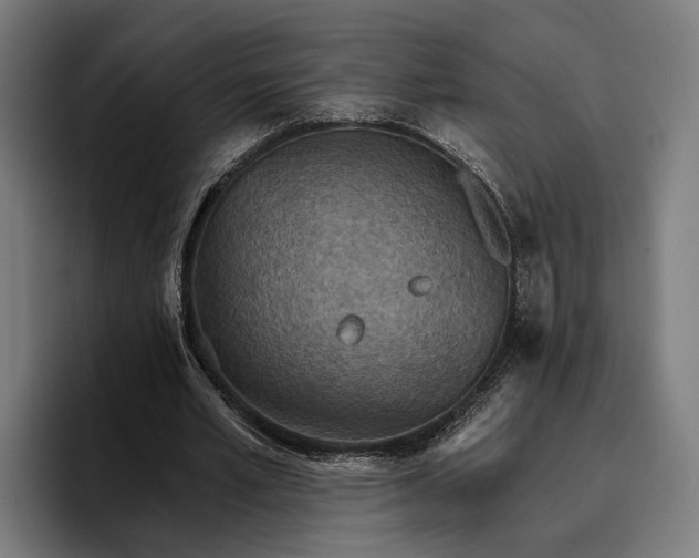 X0000096690581200802191430