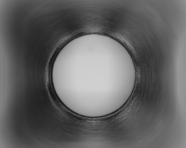 X0000096690582200802191430