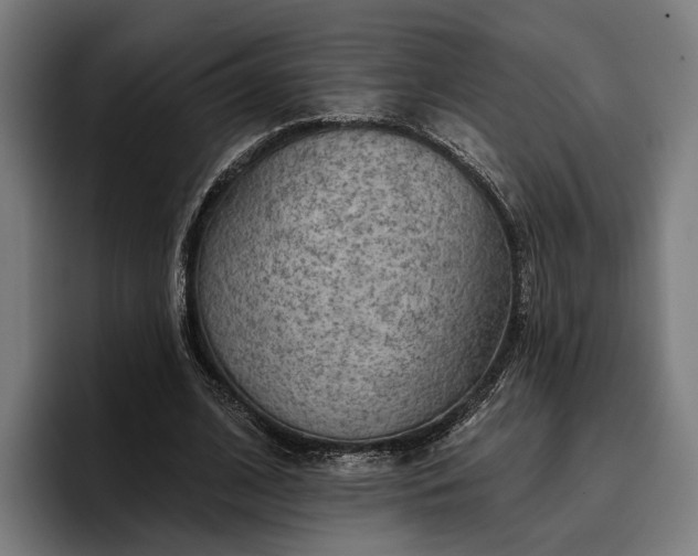 X0000096690584200802191430